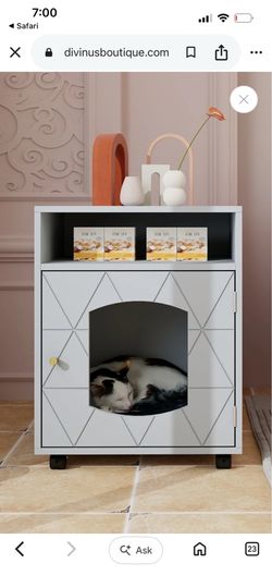 Hidden cat home side table