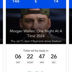 (3) Morgan Wallen Concert Tickets Tampa Thursday July 11, 2024