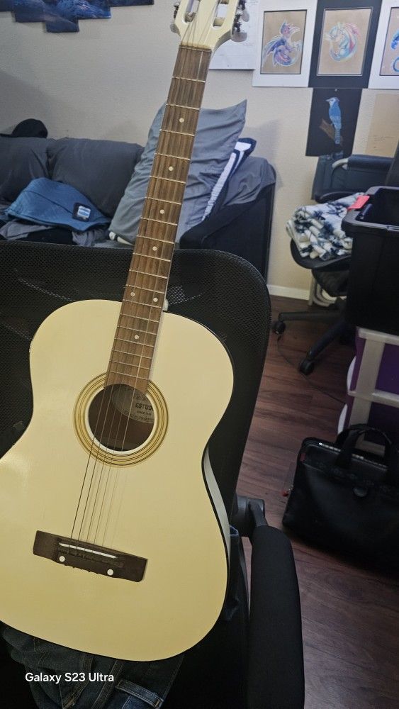 Acoustic Guitar