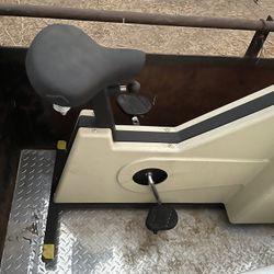 Exercise Bike In Good Shape!