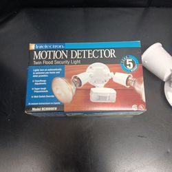 Motion Detector Light