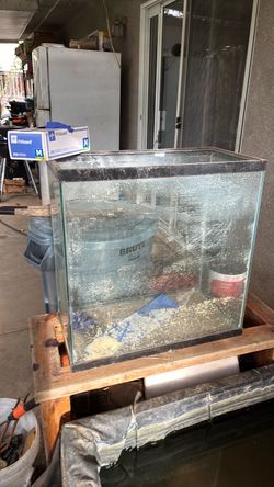 30 gallon fish tank