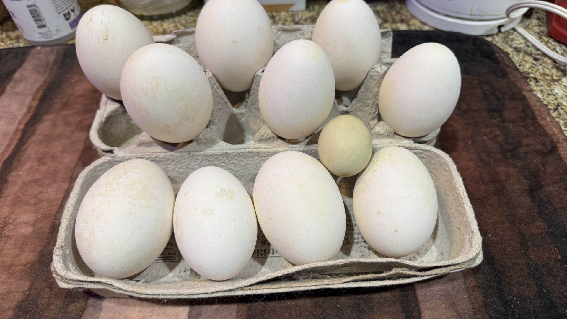 Farm Fresh Eggs-Chicken Duck Goose