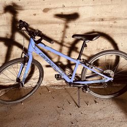 Cannondale Bike Quick