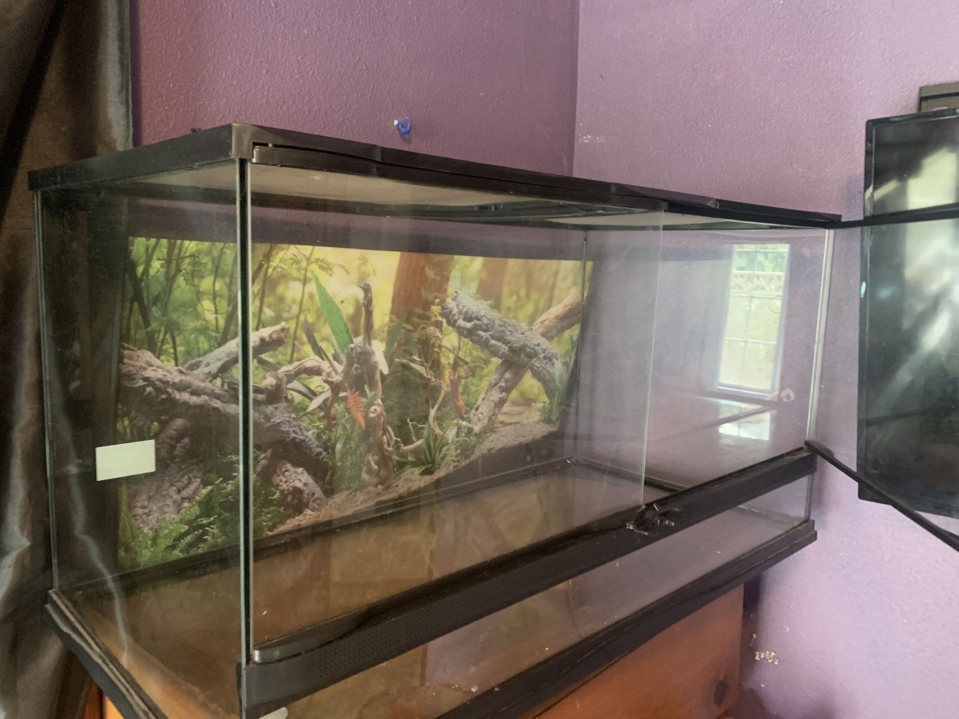 40 Gallon Terrarium
