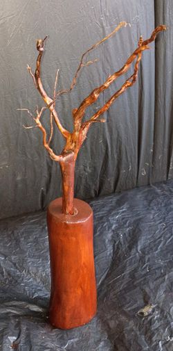 Cherrywood Was A Bonsai Tree Stick