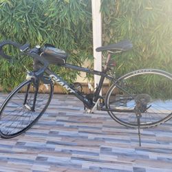 Giant Road Bike
