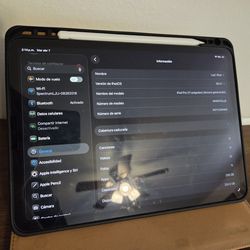 iPad Pro