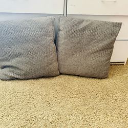 2 Large Squared couch Pillows 