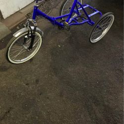 Three Wheeler Bike 