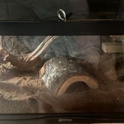 10 Gallon Terrarium With Lid 