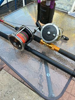 Nice very large Rods & Reels$150