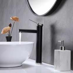 Stainless Steel Vessel Sink Bathroom Faucet F20BN