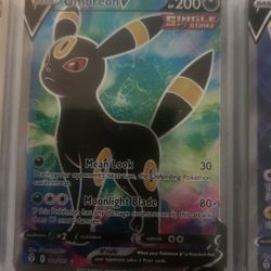 Pokemon Cards Take All $260