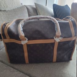 Louis Vuitton Traveling Dog Bag