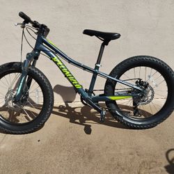 Specialized 20 Inch Bike