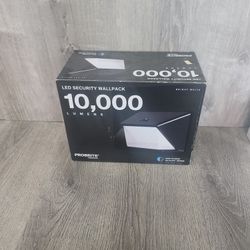 LED SECURITY WALLPACK