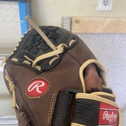 12 Inch Glove 
