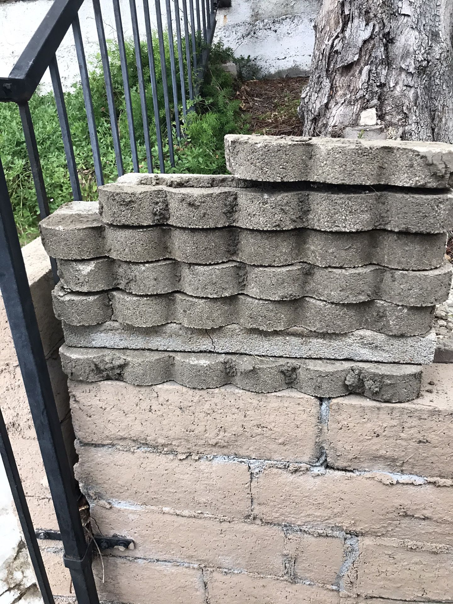 FREE - Scallop Concrete Edgers