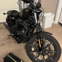 2020 Iron 883