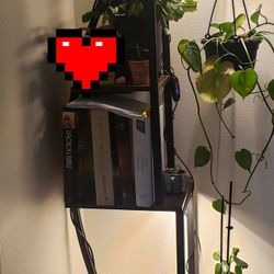 Plant/book/lamp Stand 
