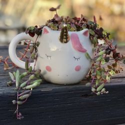 $7 Crawling/hanging succulents in unicorn mug