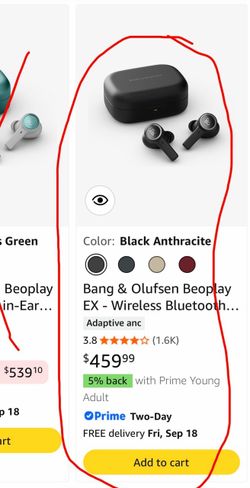 B&O Beoplay EX Wireless Earbuds – New – $460