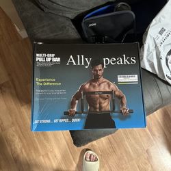 Pull Up Bar 