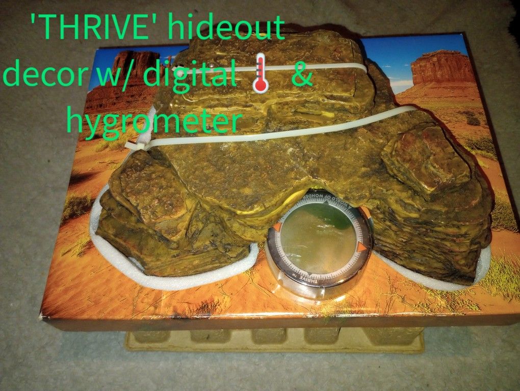 Heat Rock For Reptile