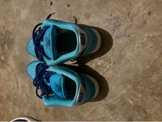 Dunk low sb size 10.5
