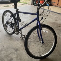 Schwinn mountain Bike