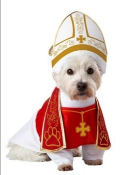 Halloween Dog CostumeS