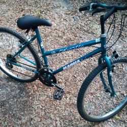 crossroads women's bike