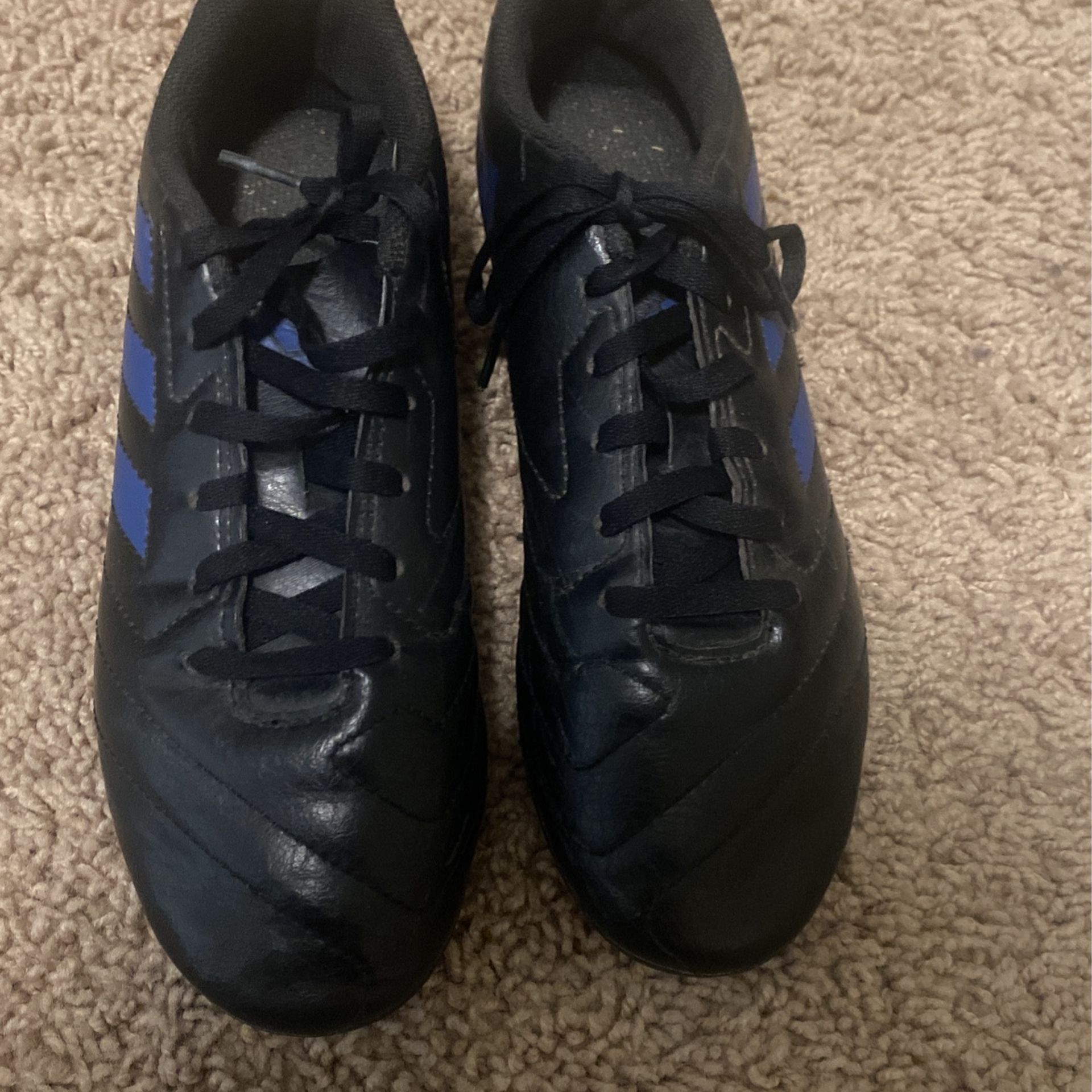 Soccer Shoes 