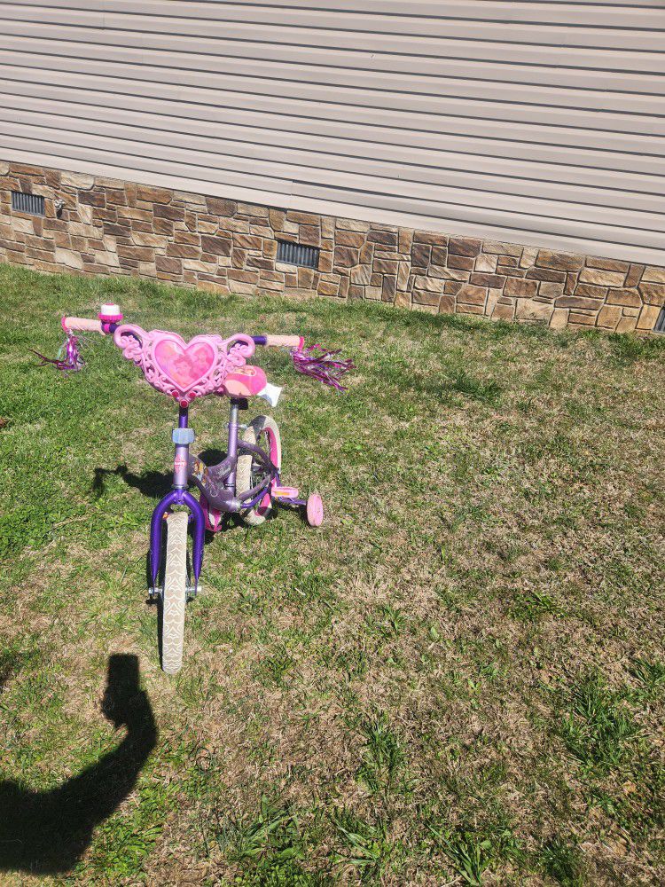 Kid's Princess Bike