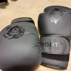 FIGHTR Premium Punching Bag And Boxing Gloves