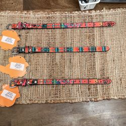 Rodeo Quincy Dog Collars