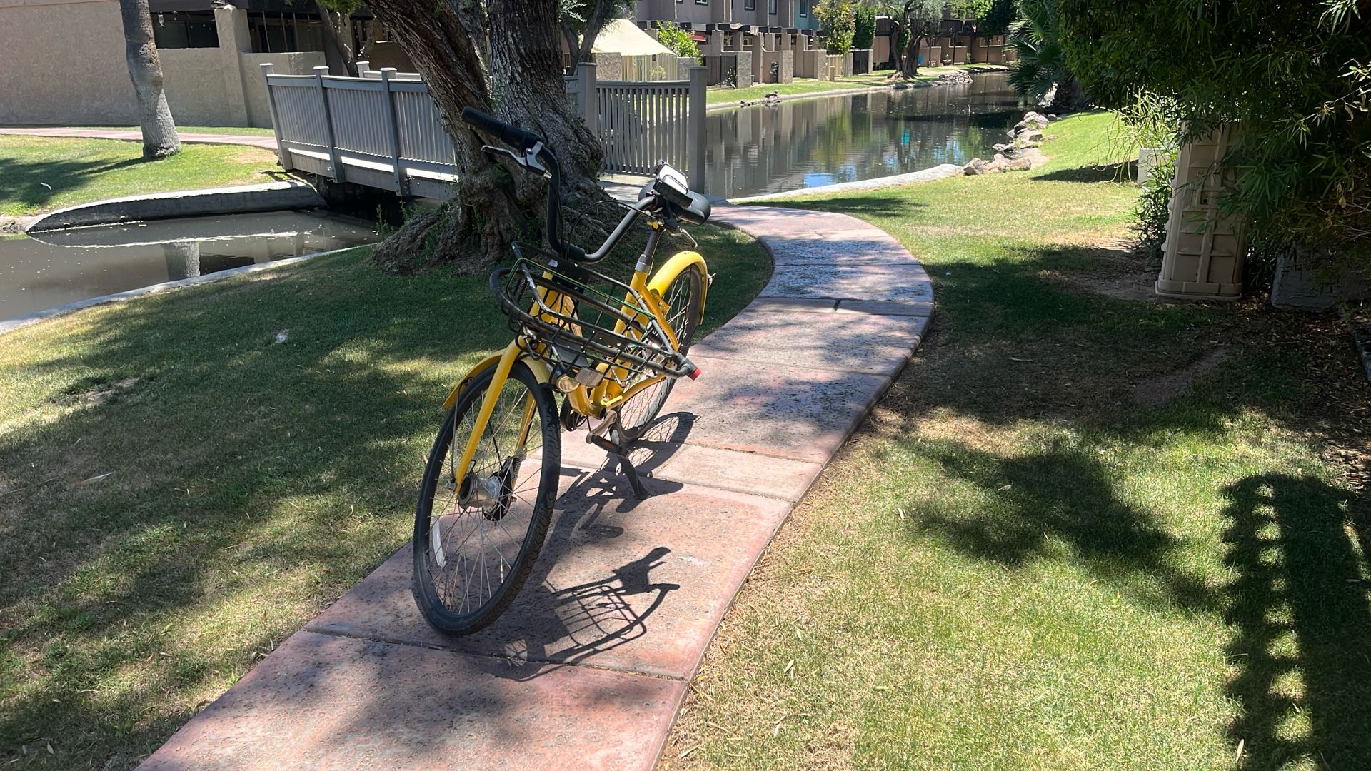 Beach Cruiser Bicycle
