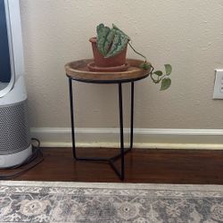 Plant Stand