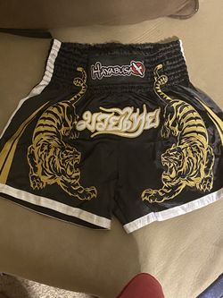 Hayabusa Muay Thai shorts