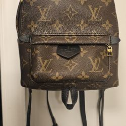 Louis Vuitton Palm Springs Mini Backpack