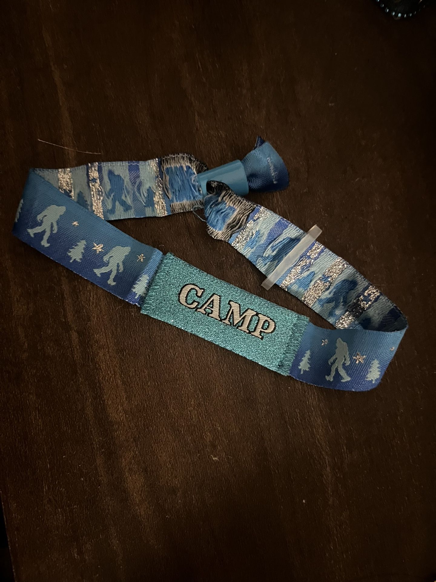 Camp flog gnaw GA 2 Day Ticket $350