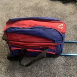 Bowling Balls And Carrying Bag 