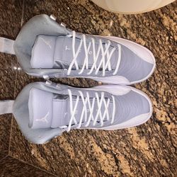 Jordan 12s “Stealth”