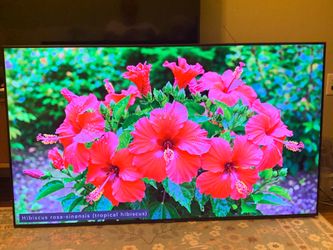 Samsung TV- 55" Class 7 Series LED 4K UHD Smart Tizen TV