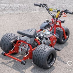 Motor Vehicles 