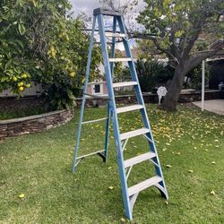 8ft Werner Fiberglass Step Ladder
