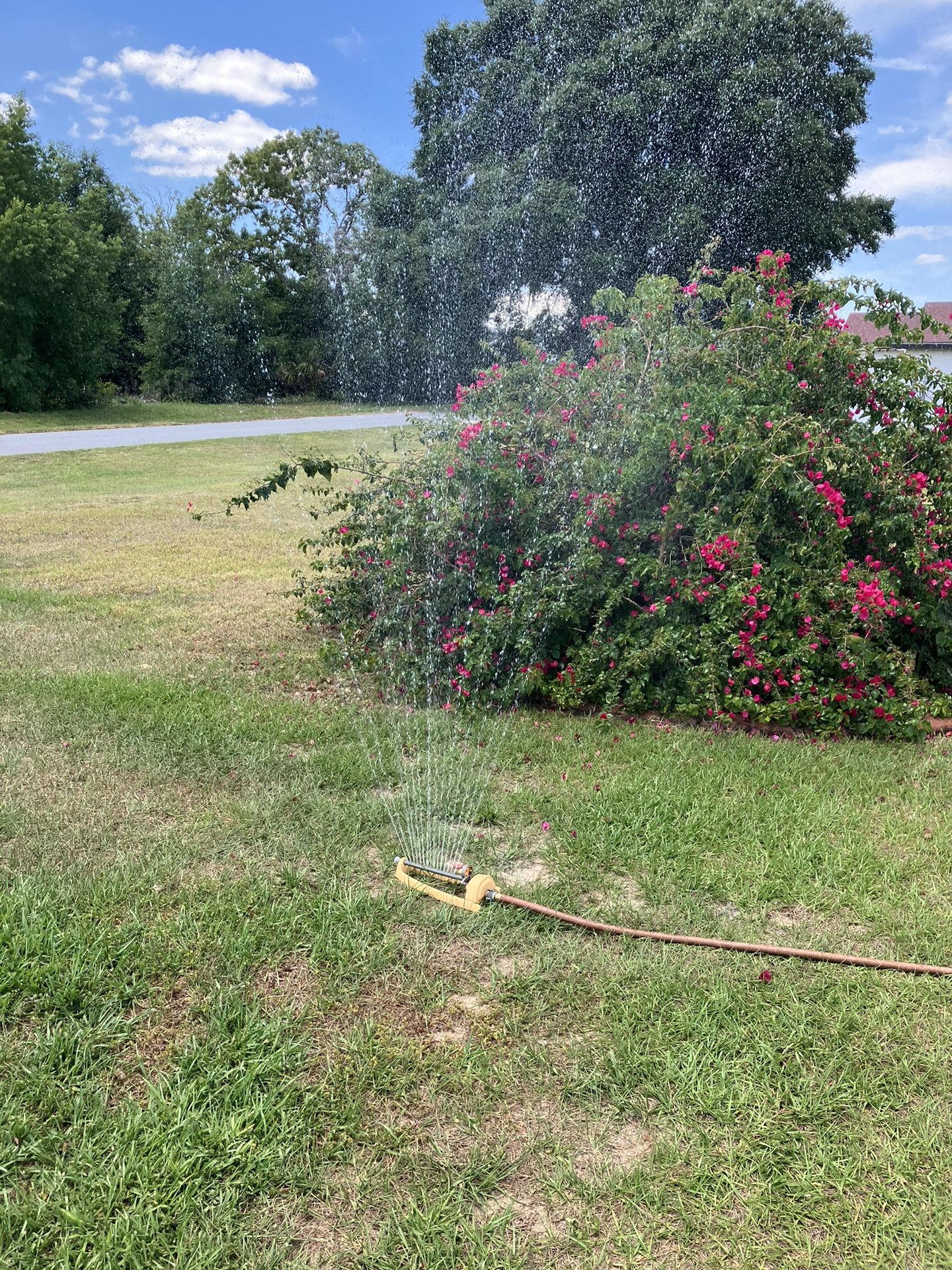 Sprinkler. Works Great. (3) For $23