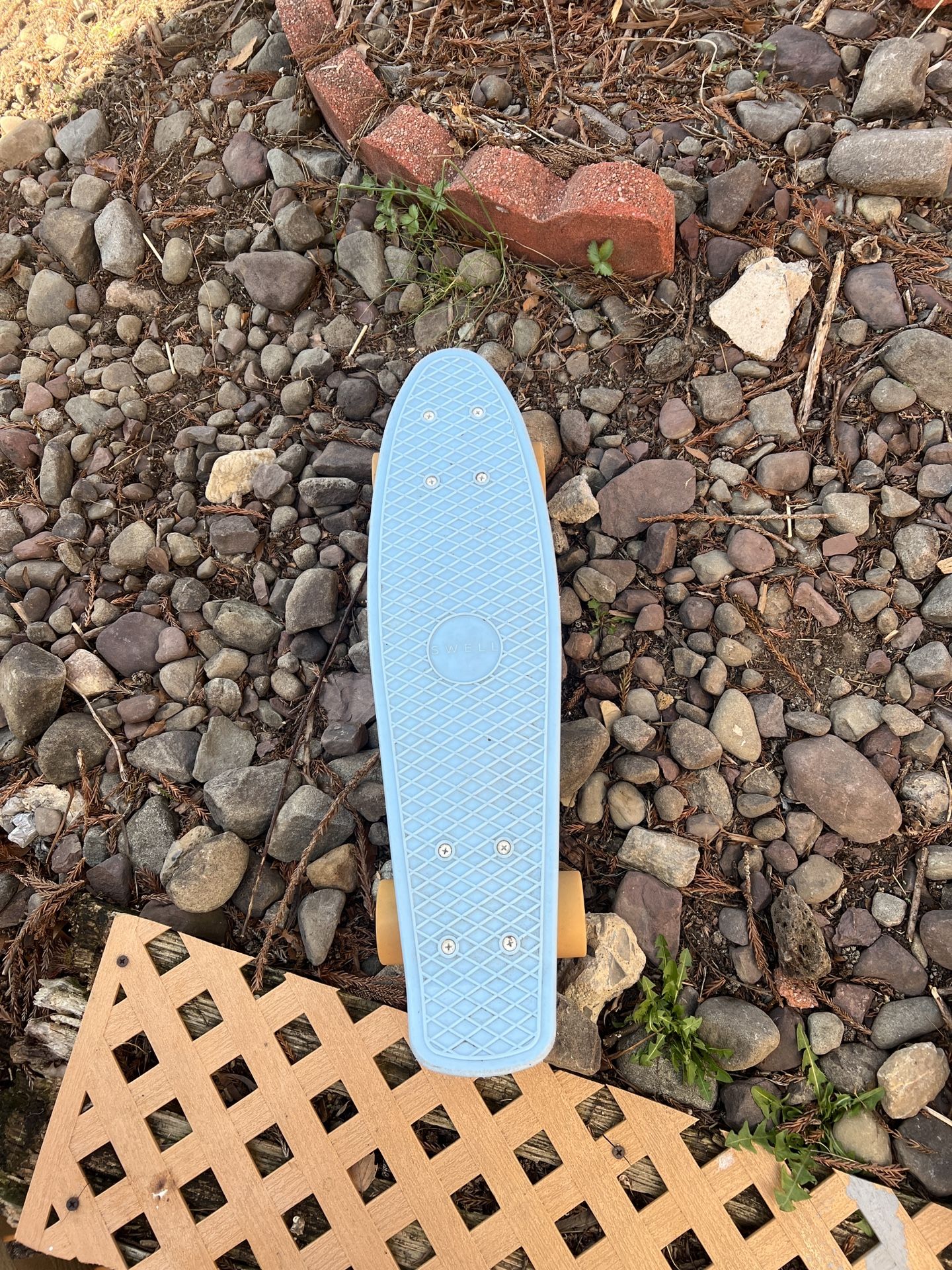 Penny Board