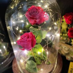 Eternity Roses Decor Real Rose Never Die
